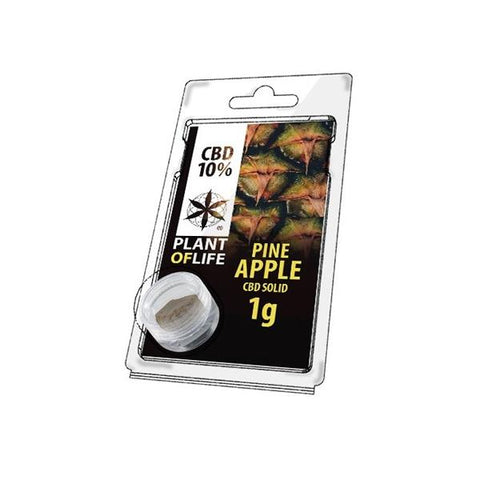 CBD Hash 1g Pineapple 10%-CBD Products-Plant of Life-CBD Palace