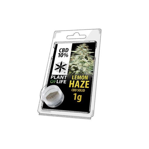 CBD Hash 1g Lemon Haze 10%-CBD Products-Plant of Life-CBD Palace