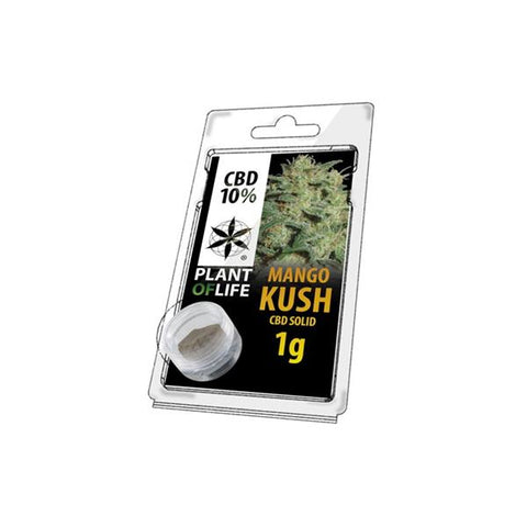 CBD Hash 1g Mango Kush 10%-CBD Products-Plant of Life-CBD Palace