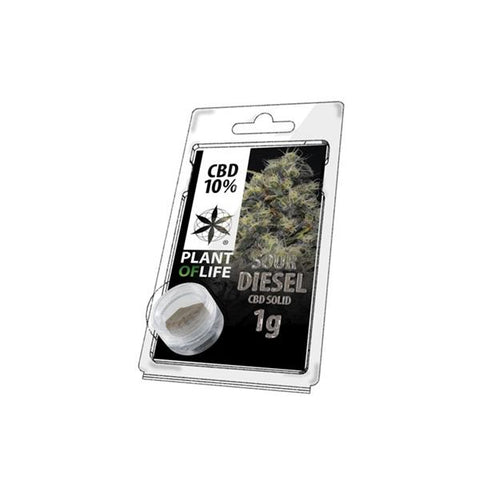 CBD Hash 1g Sour Diesel 10%-CBD Products-Plant of Life-CBD Palace